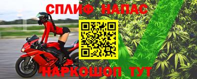ПСИЛОЦИБИНОВЫЕ ГРИБЫ Гай