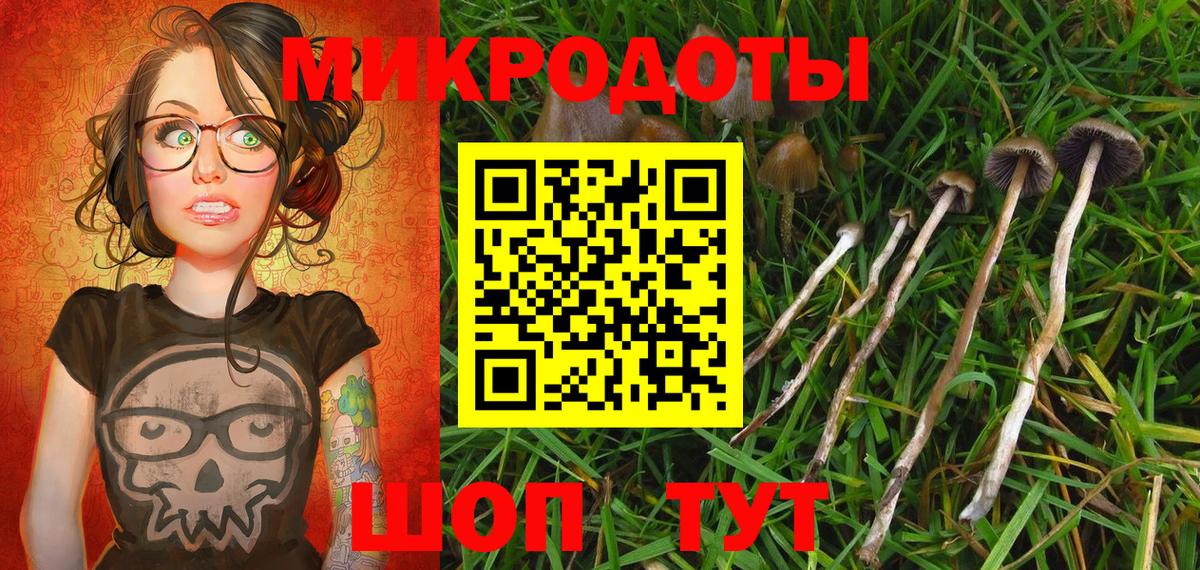 Губкин  Псилоцибиновые грибы ЛСД  Вход с VPN  Псилоцибиновые грибы Psilocybe 