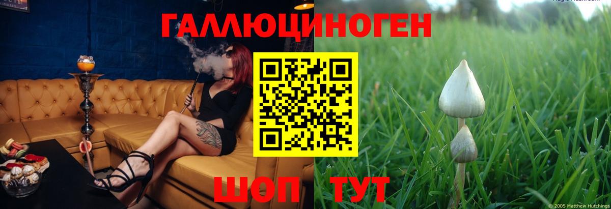 Галлюциногенные грибы GOLDEN TEACHER Губкин