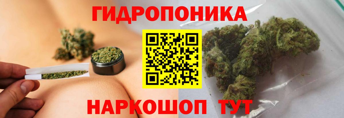 Шишки марихуана SATIVA & INDICA Губкин